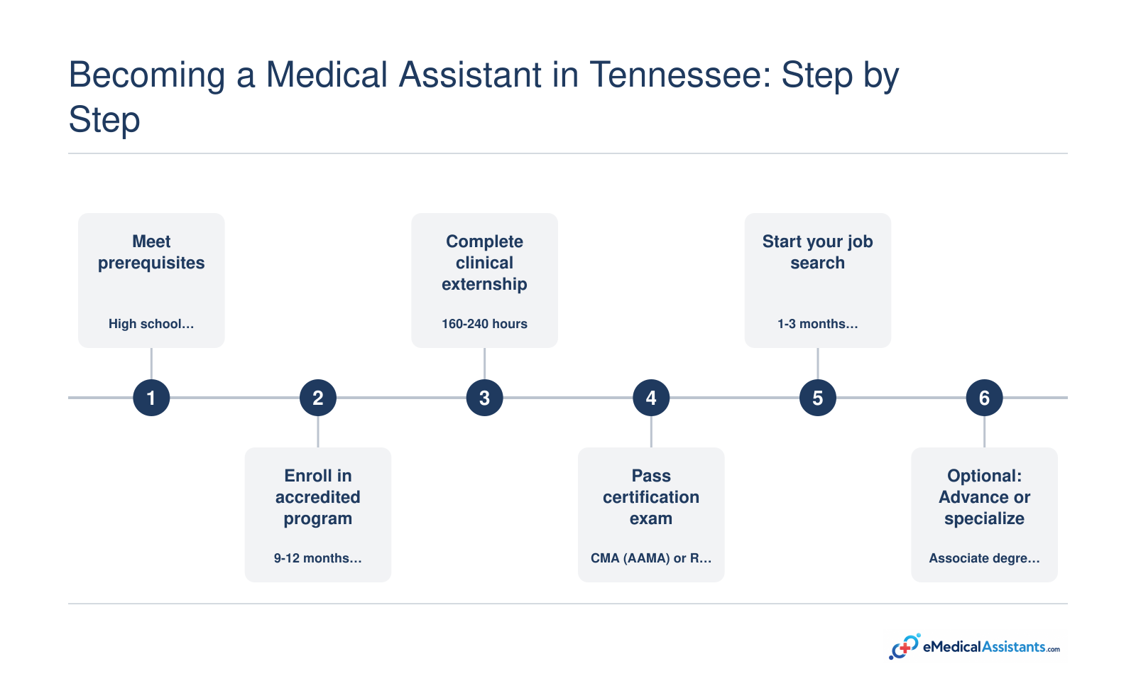 Six-step Tennessee medical assistant pathway covering prerequisites, 9-12 month accredited training, 160-240 hour externship, certification, job search, and optional specialization.
